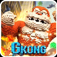 G Kong